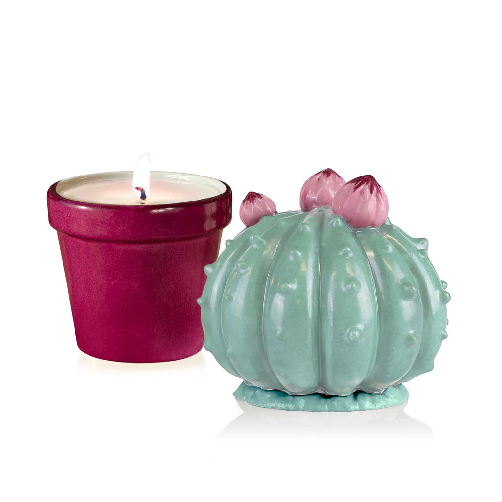 Frailea Cactus Scented Candle - Aquamarine & Gold