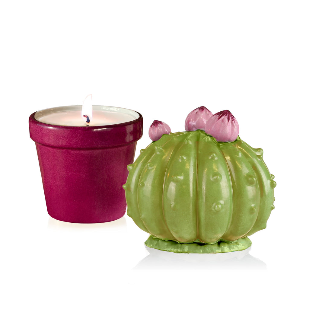 Frailea Cactus Scented Candle - Green & Fuchsia