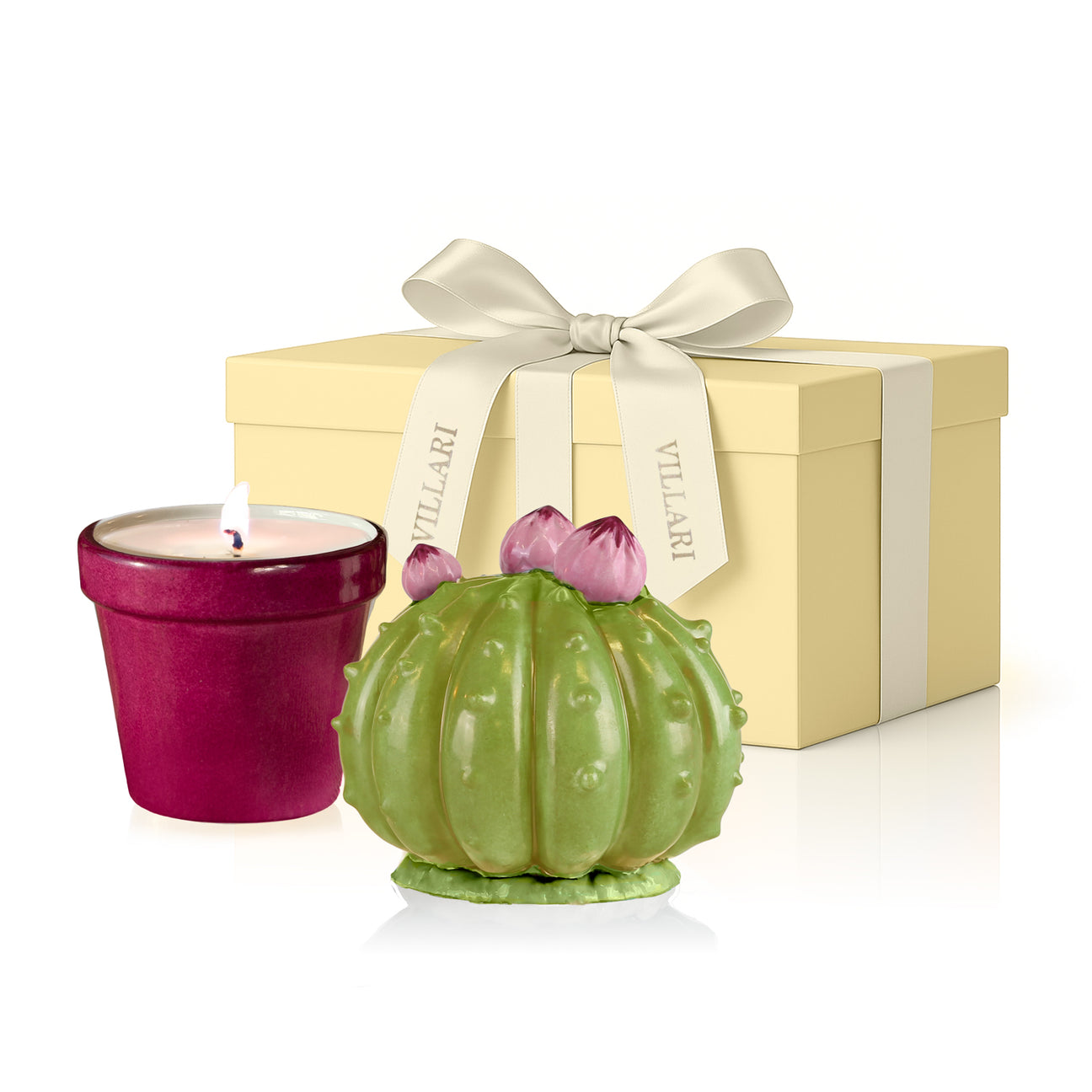 Frailea Cactus Scented Candle - Green &amp; Fuchsia 