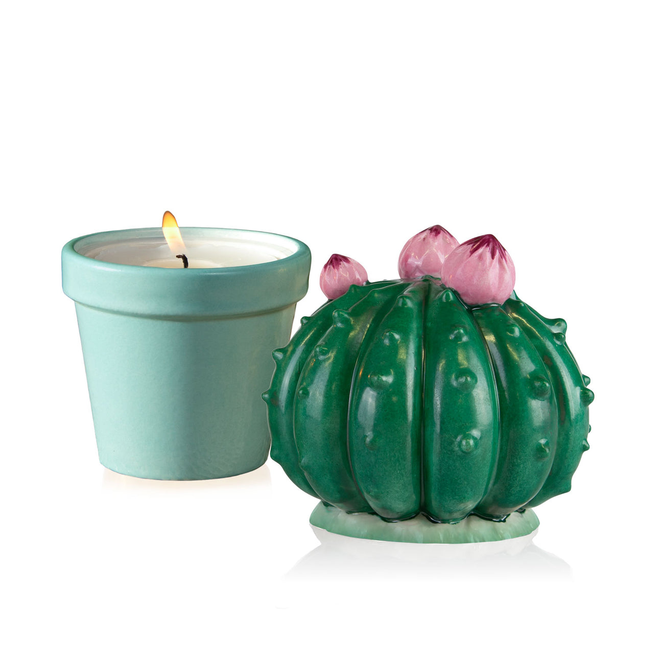 Frailea Cactus Scented Candle - Peacock Green &amp; Aquamarine 