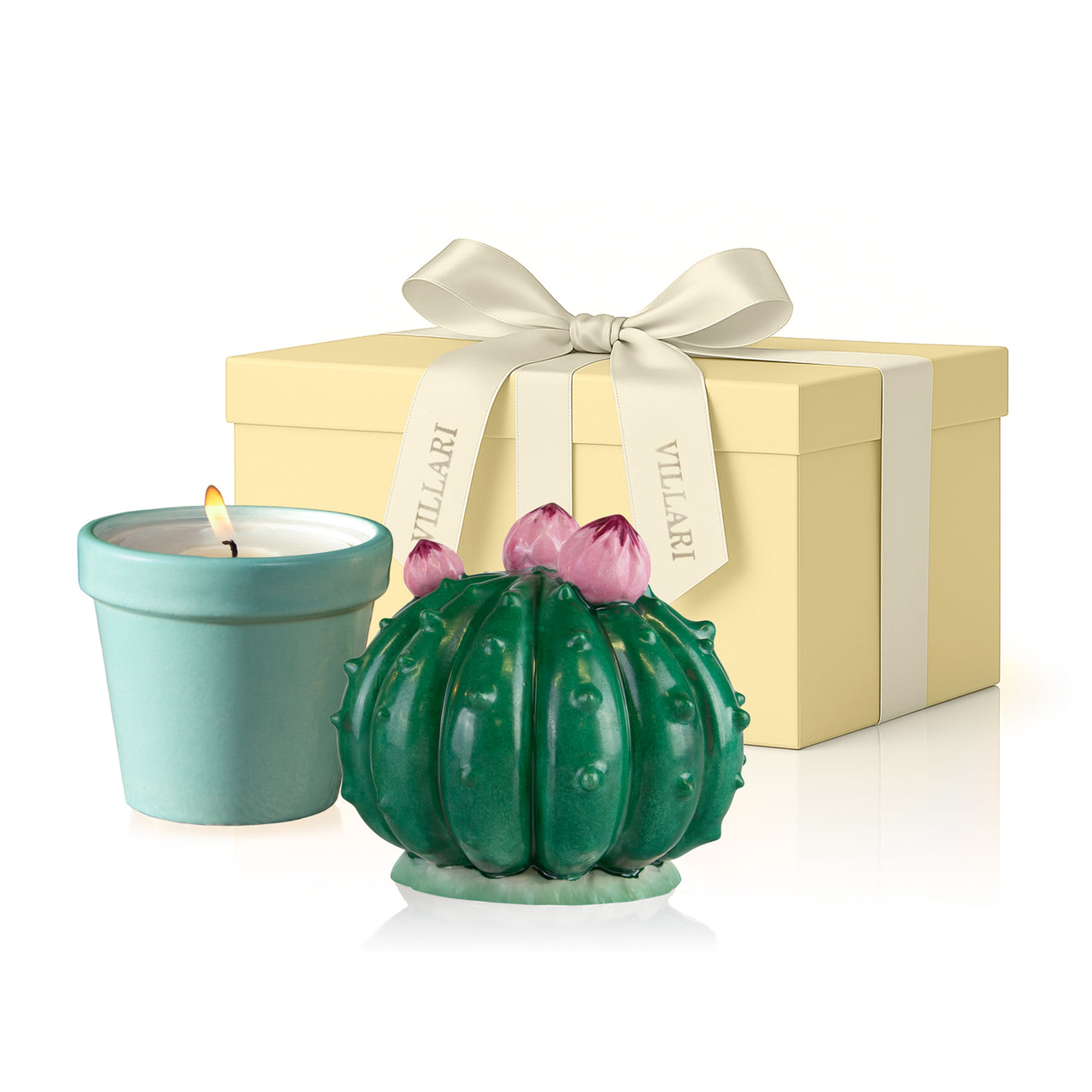 Frailea Cactus Scented Candle - Peacock Green &amp; Aquamarine 