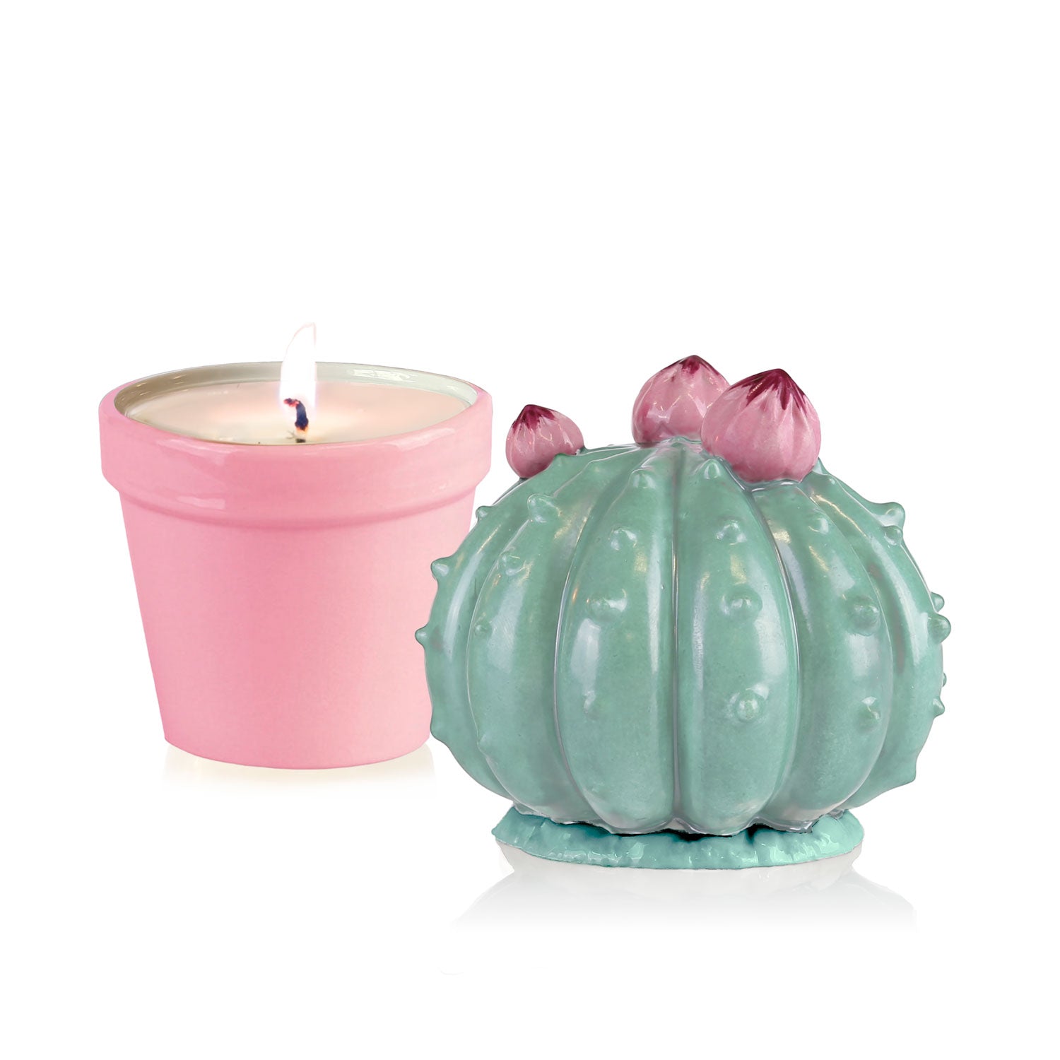 Frailea Cactus Scented Candle - Aquamarine & Pink