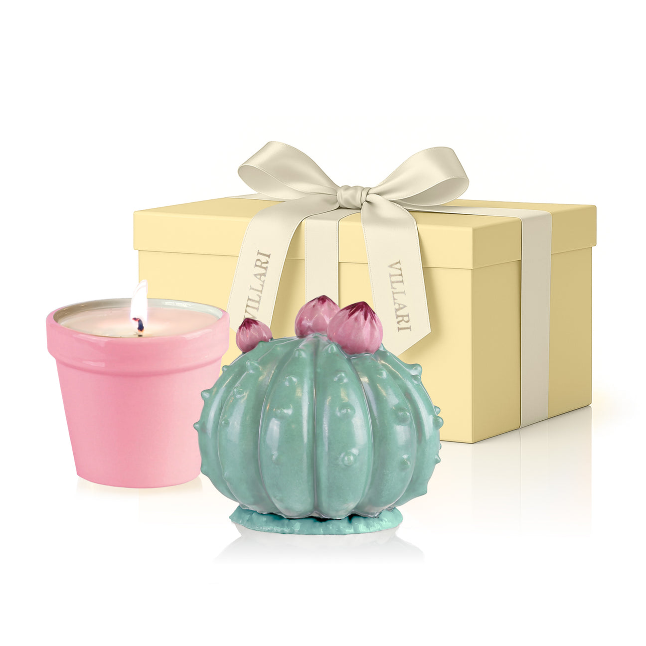 Frailea Cactus Scented Candle - Aquamarine &amp; Pink 
