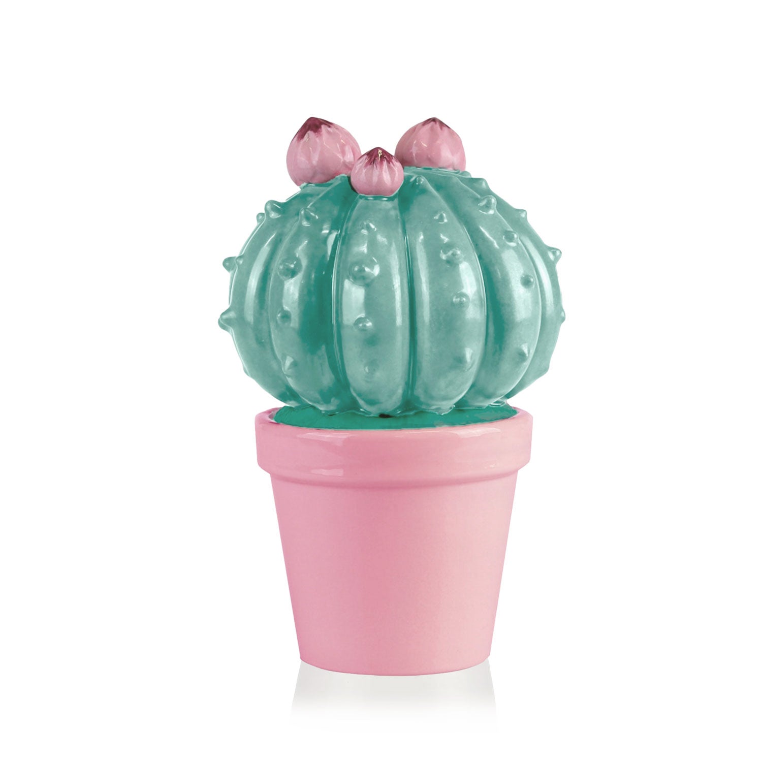 Frailea Cactus Scented Candle - Aquamarine & Pink