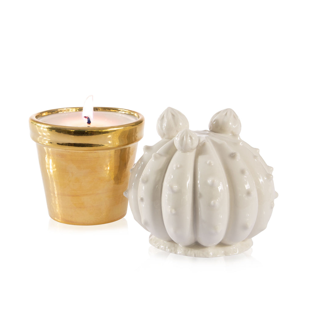 Frailea Cactus Scented Candle - White & Gold