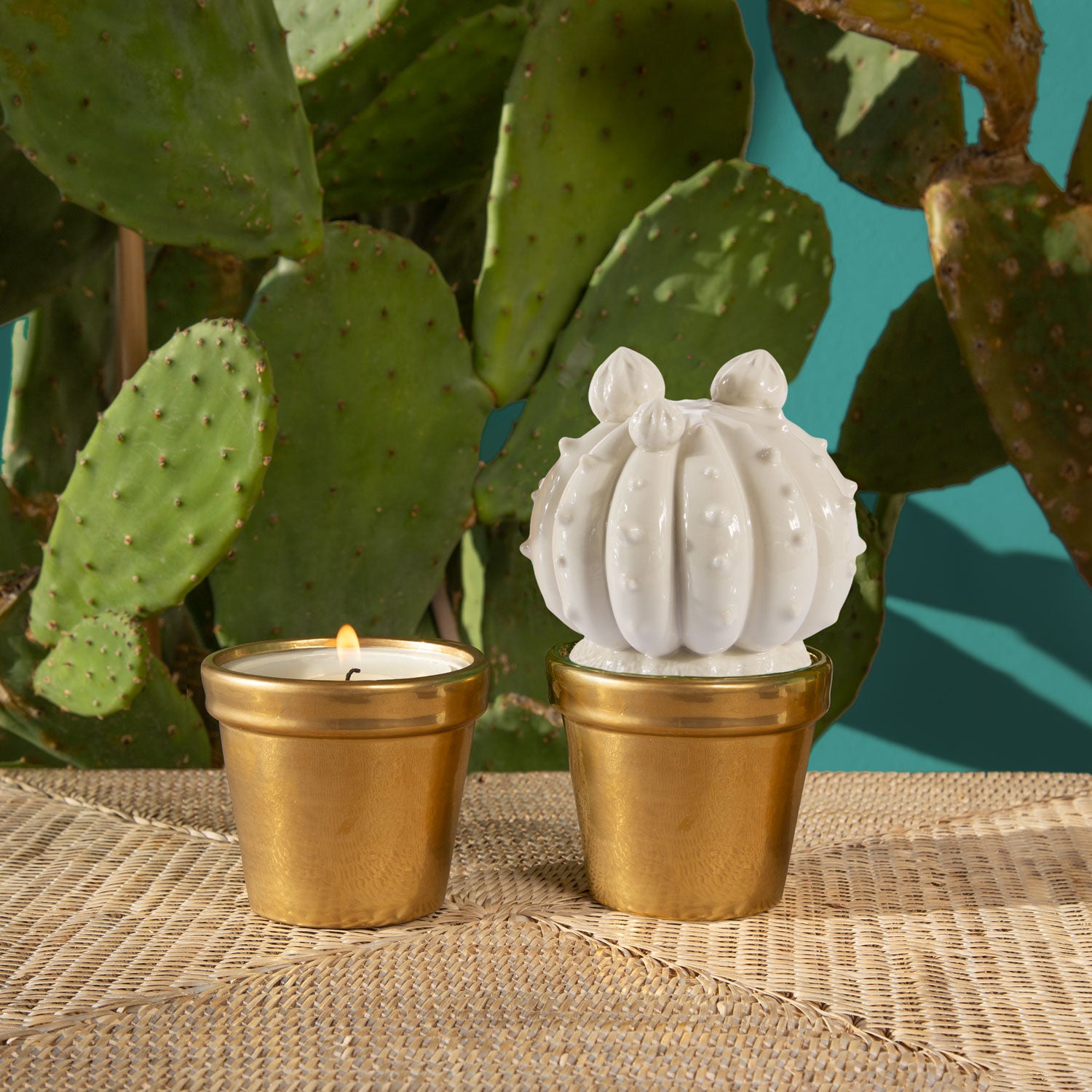 Frailea Cactus Scented Candle - White & Gold