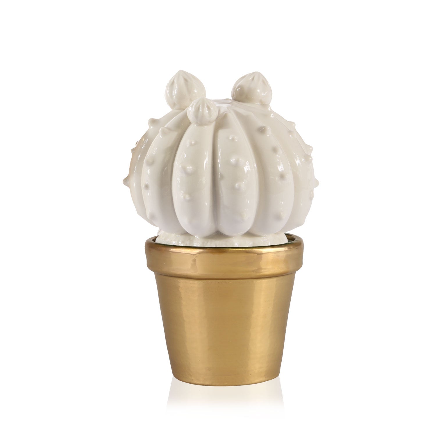Frailea Cactus Scented Candle - White & Gold