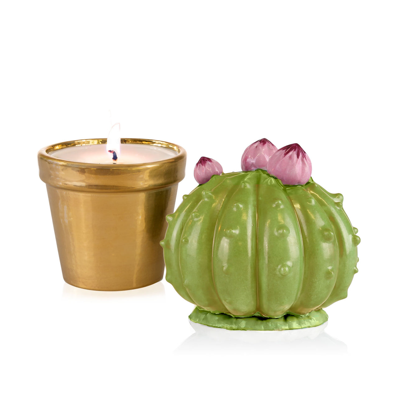 Frailea Cactus Scented Candle - Green &amp; Gold 