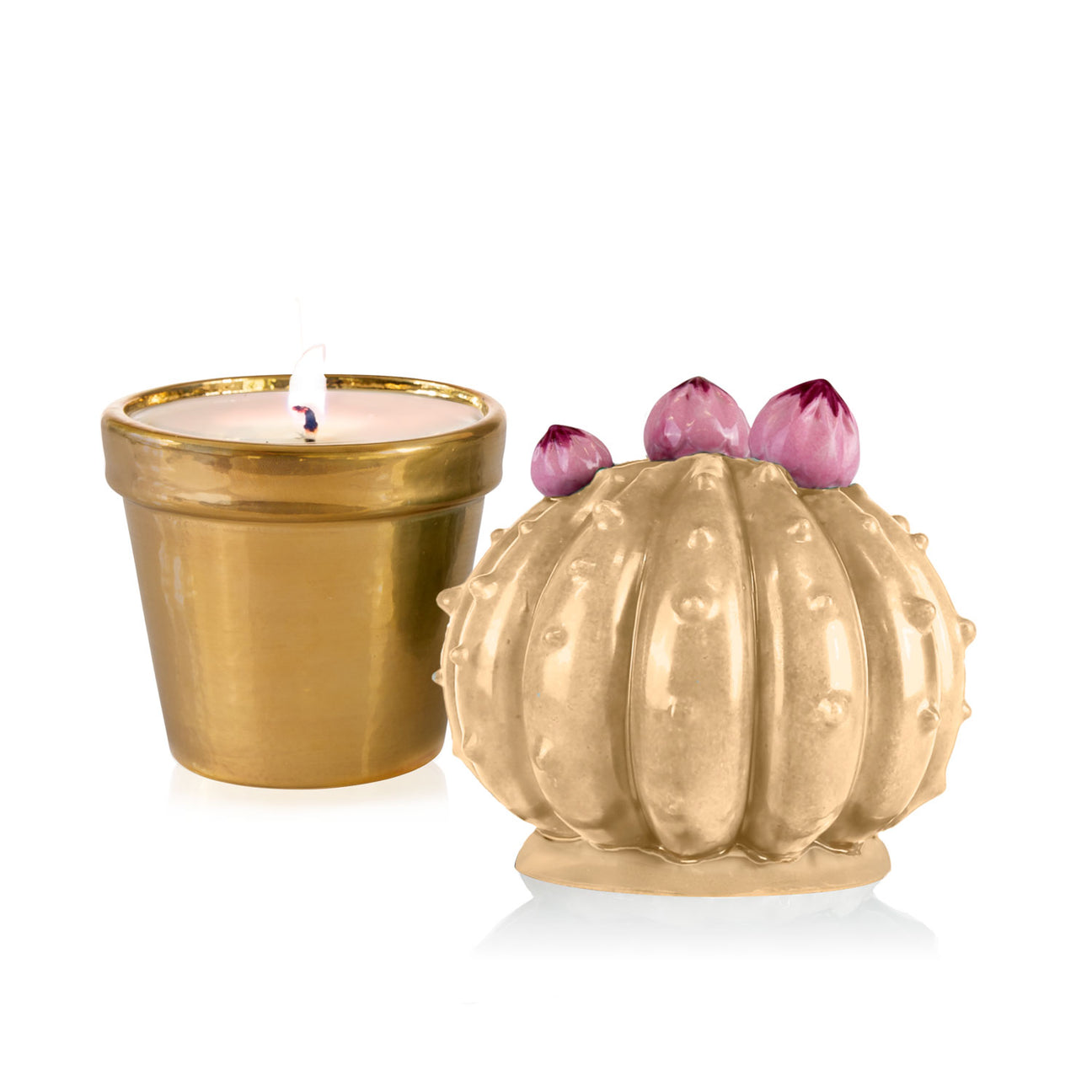 Frailea Cactus Scented Candle - Pearly Caramel &amp; Gold 