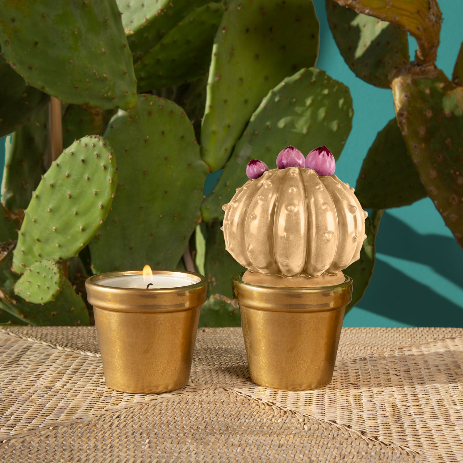 Frailea Cactus Scented Candle - Pearly Caramel & Gold