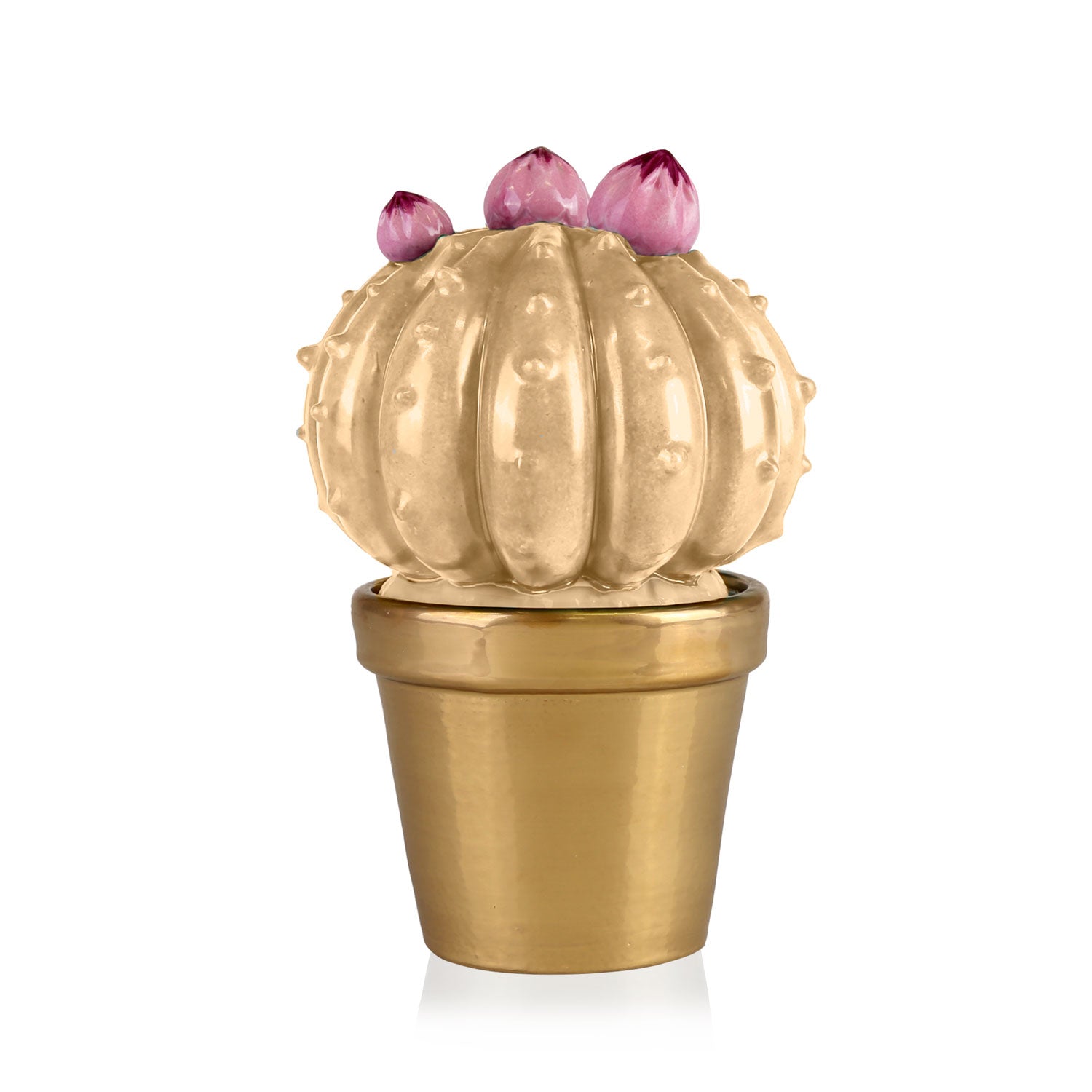 Frailea Cactus Scented Candle - Pearly Caramel & Gold