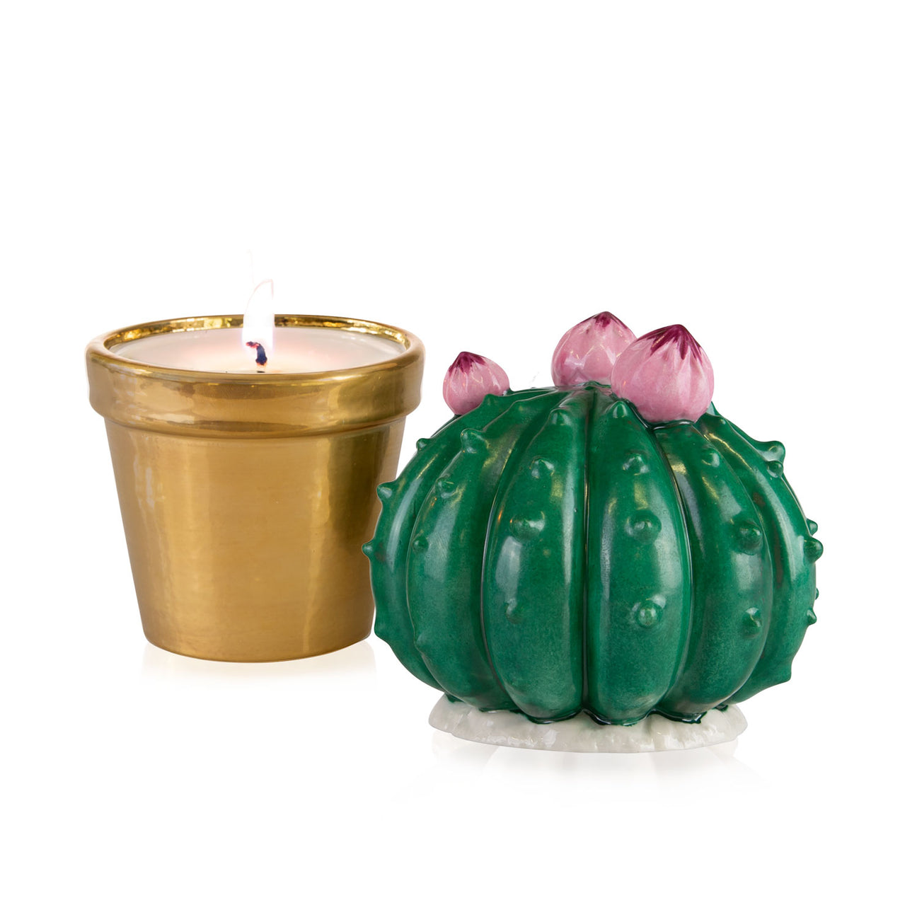 Frailea Cactus Scented Candle - Peacock Green &amp; Gold 