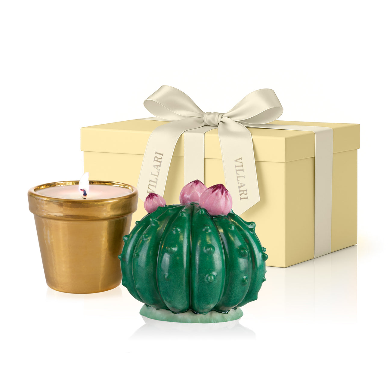 Frailea Cactus Scented Candle - Peacock Green &amp; Gold 