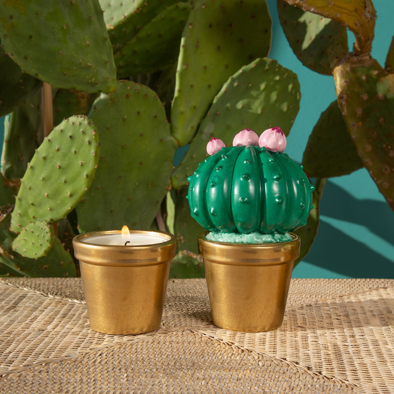 Frailea Cactus Scented Candle - Peacock Green & Gold