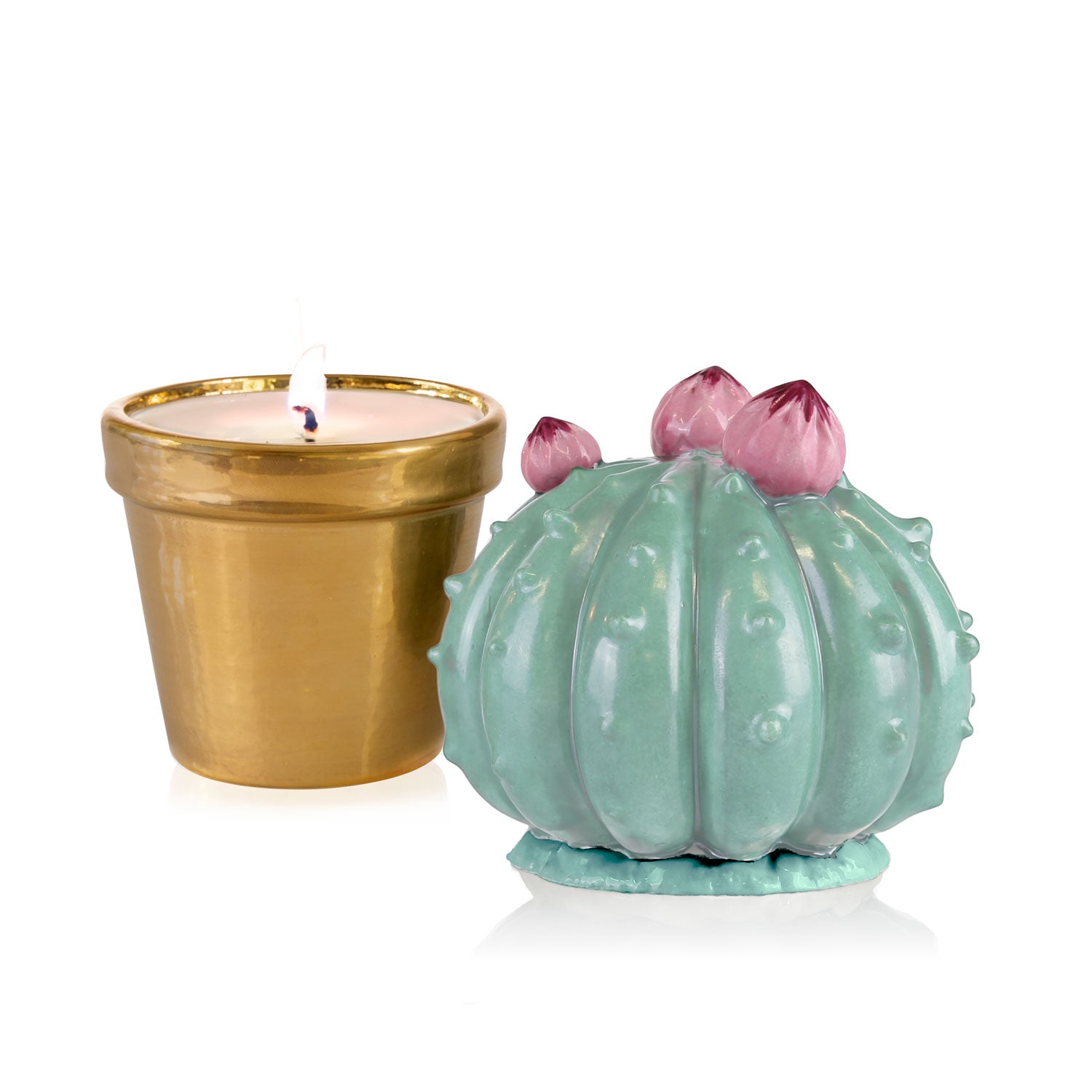Frailea Cactus Scented Candle - Aquamarine & Gold