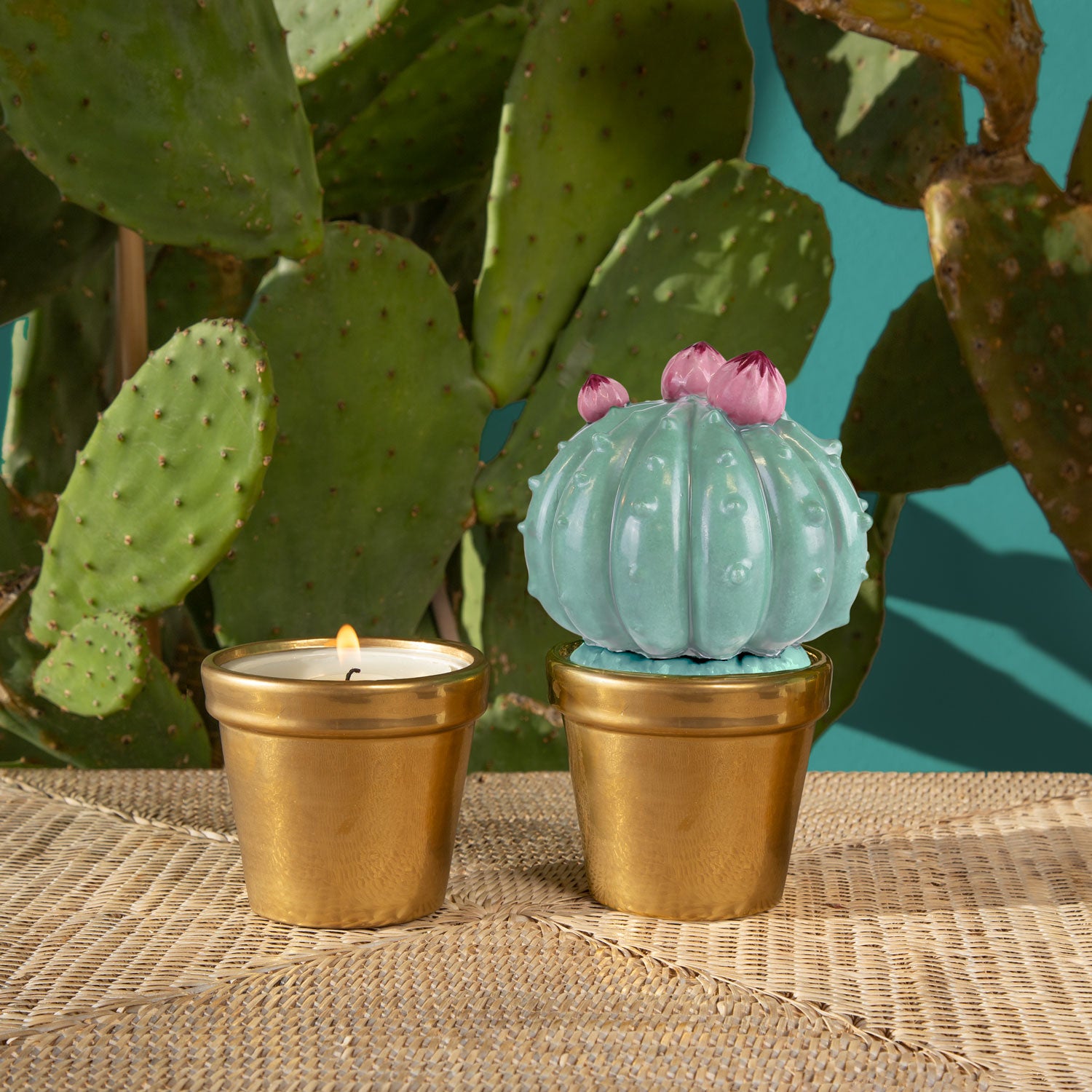 Frailea Cactus Scented Candle - Aquamarine & Gold