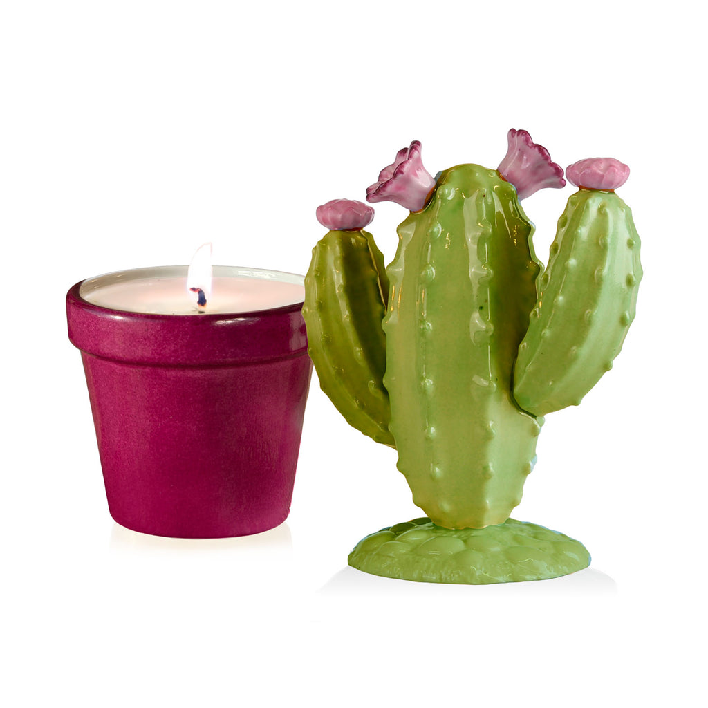 Mexican Cactus Scented Candle - Green & Fuchsia