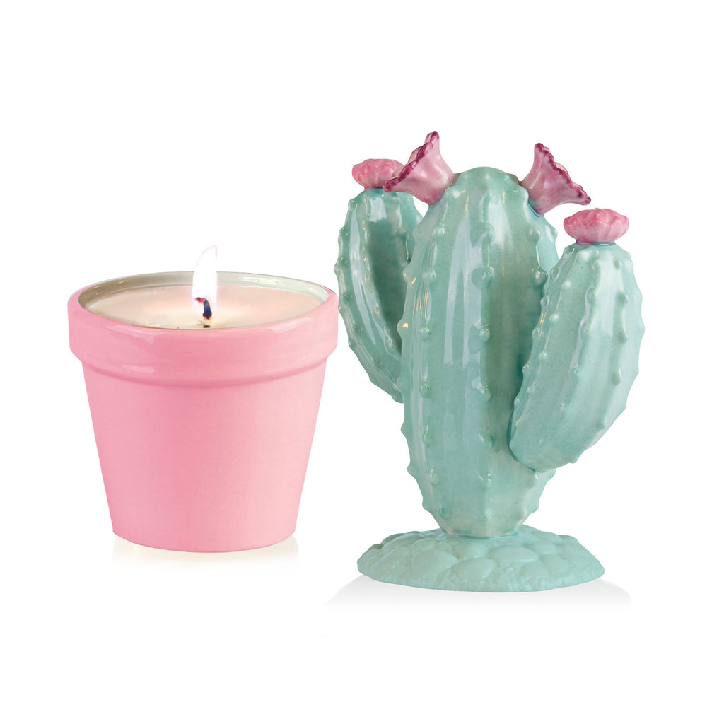 Mexican Cactus Scented Candle - Aquamarine & Pink