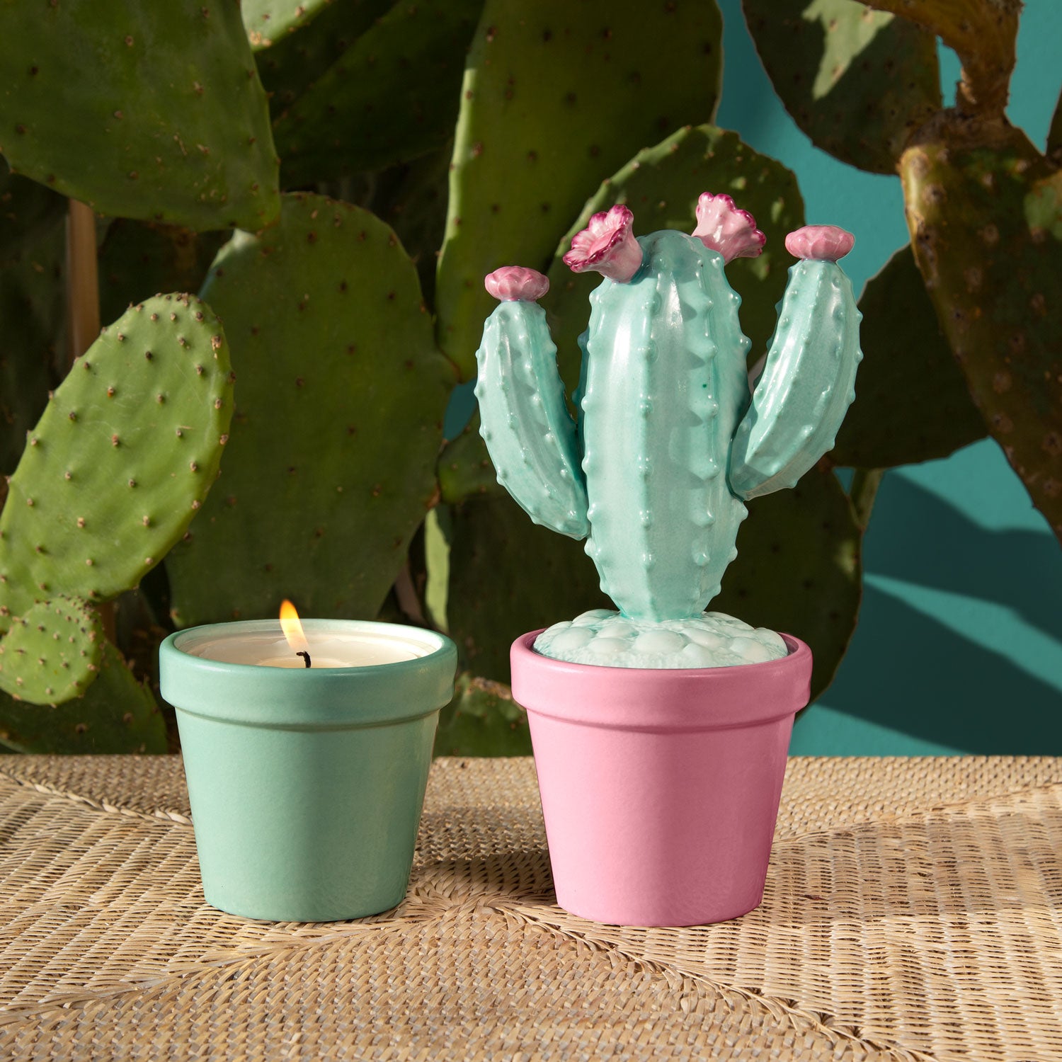 Mexican Cactus Scented Candle - Aquamarine & Pink