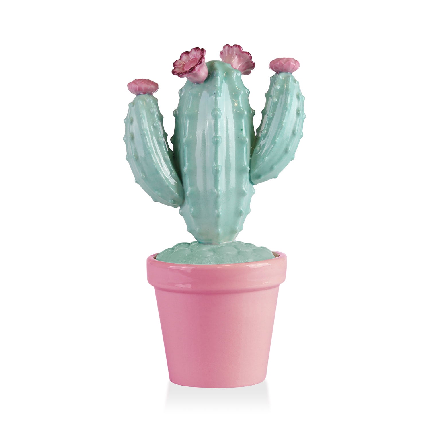 Mexican Cactus Scented Candle - Aquamarine & Pink