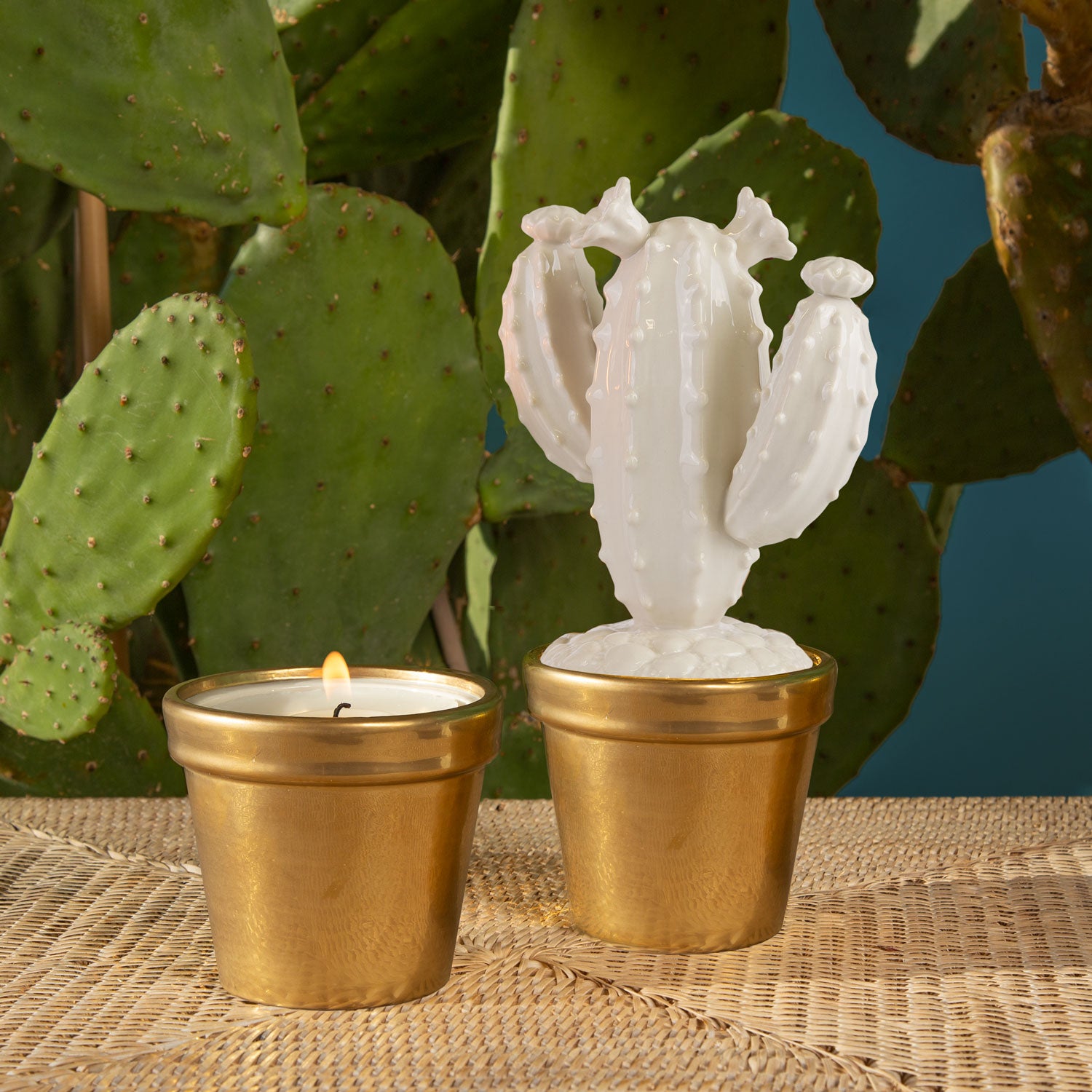 Mexican Cactus Scented Candle - White & Gold