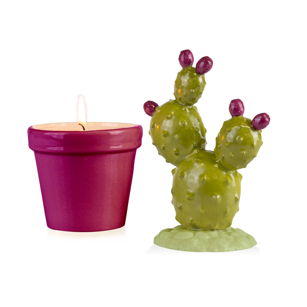 Prickly Pearl Scented Candle - Green & Fuchsia
