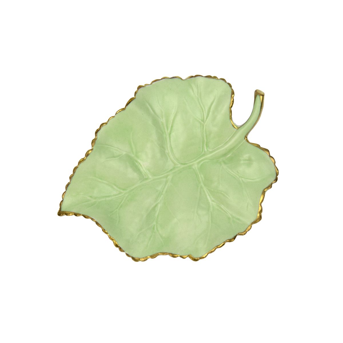 Autumn Green Mulberry Leaf 