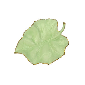 Autumn Green Mulberry Leaf
