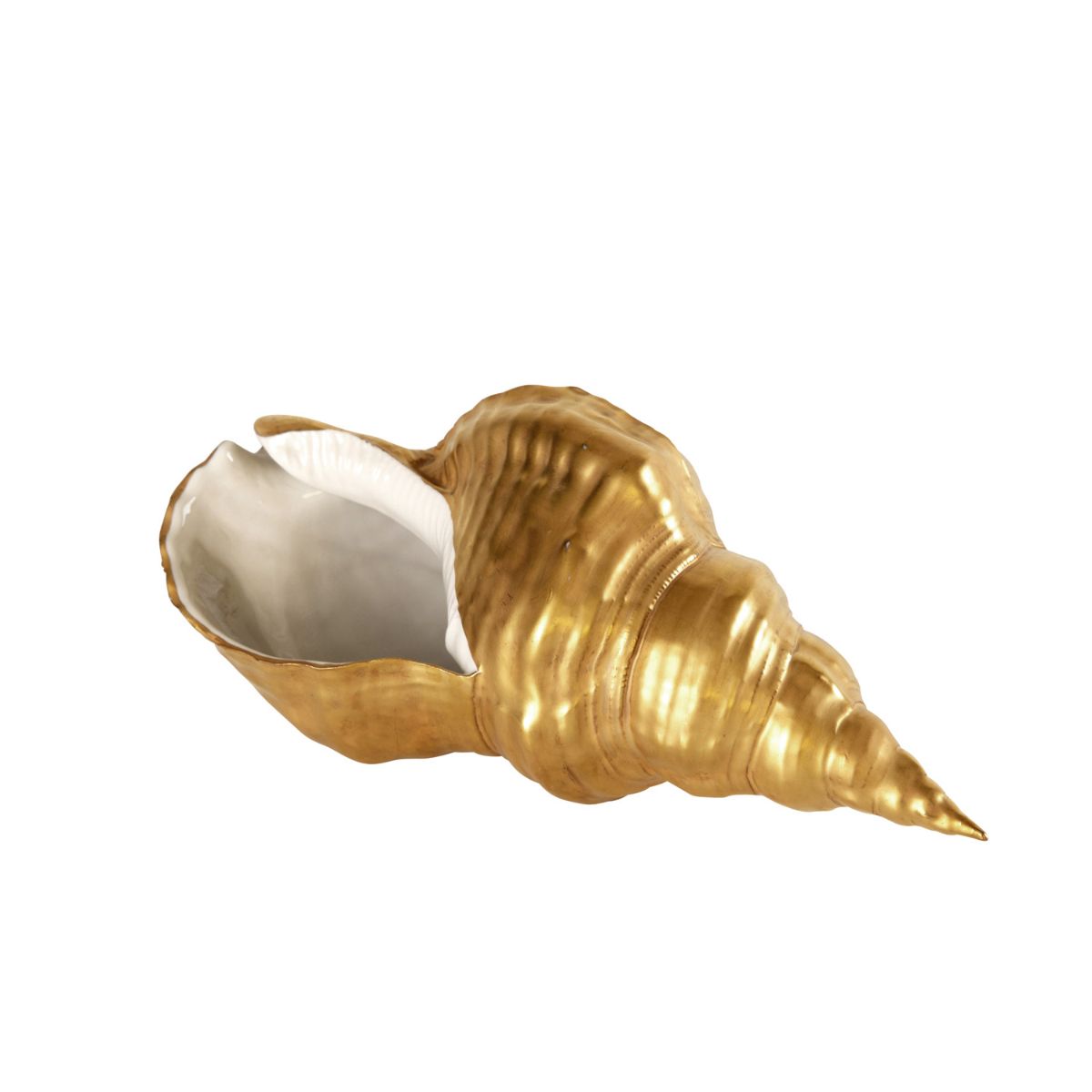 Porto Cervo Robinson Horn Decorative Shell