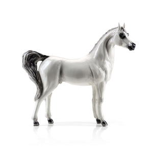 Al Lahab Arab Horse - Limited Edition 300 Pcs